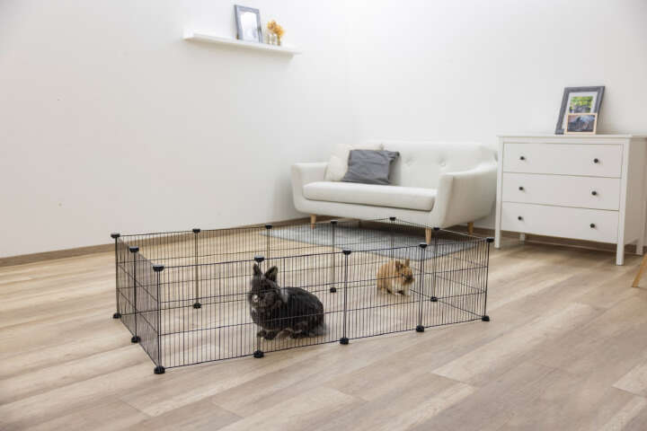 KERBL Freilaufgehege Hopsi